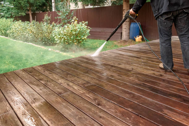 Best Dumpster Area Cleaning  in River Rouge, MI