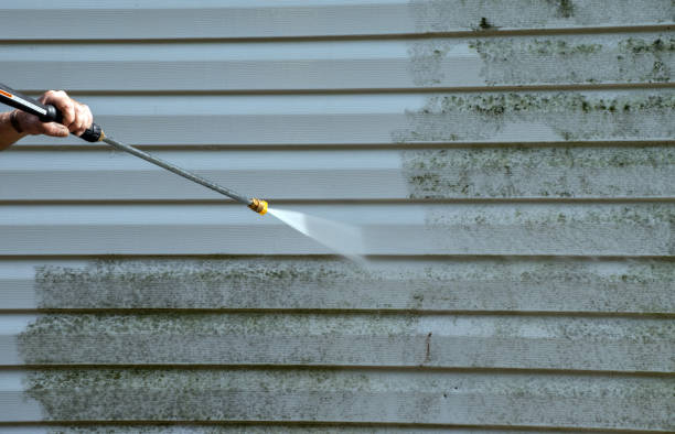 Best Roof Washing  in River Rouge, MI